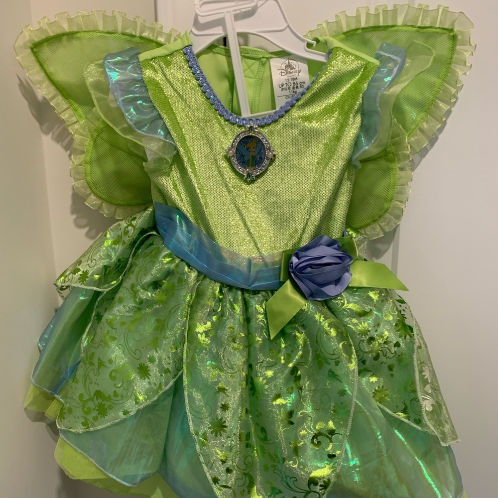 Tinker bell Costume with Wings